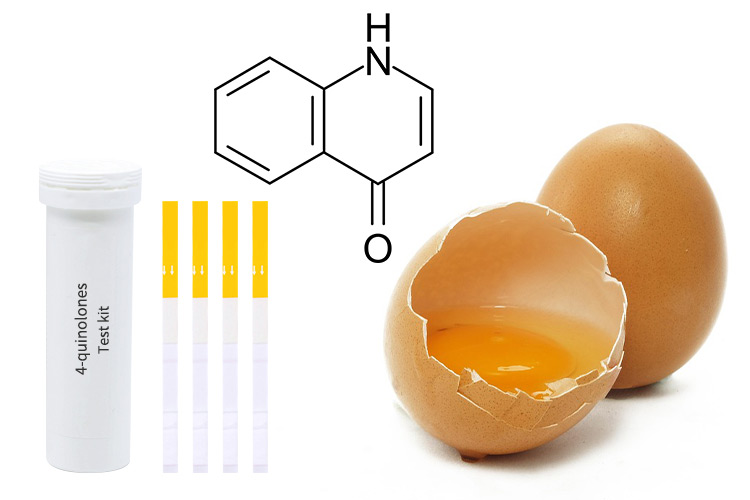 antibiotic-free-eggs