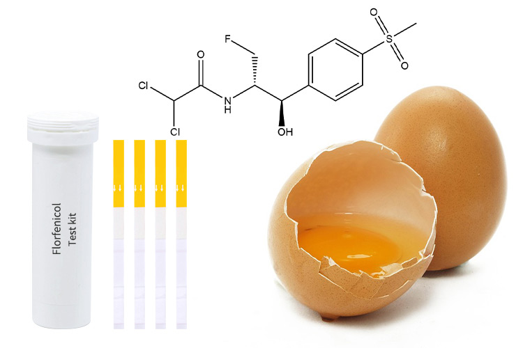 antibiotic-residue-free-eggs