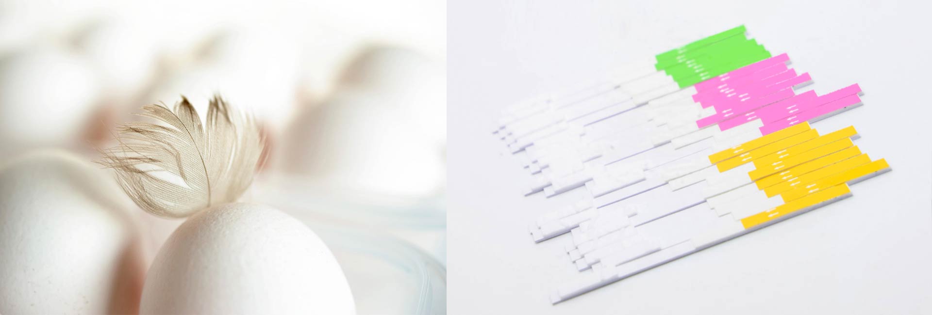 antibiotic-residue-in-food