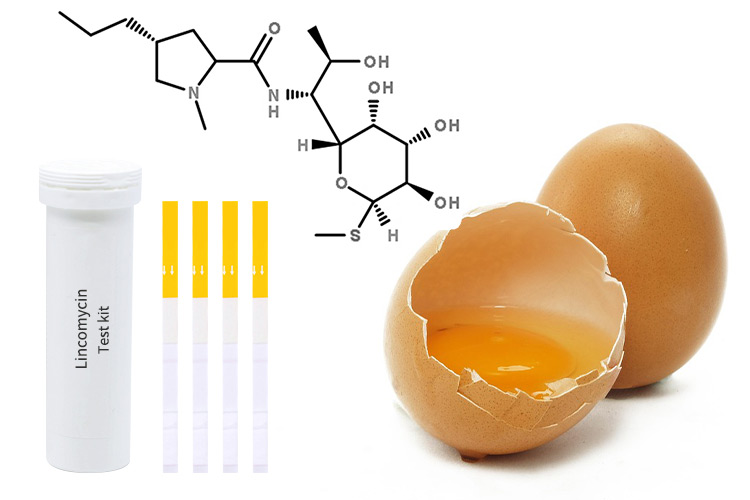 antibiotic-residue-test-kit