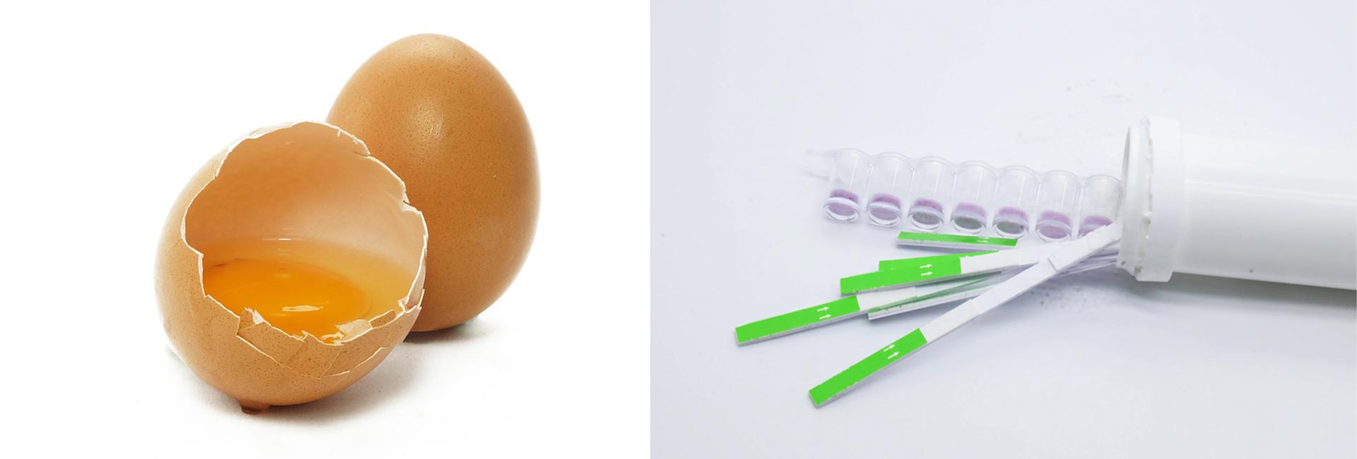 antibiotic-residue-test