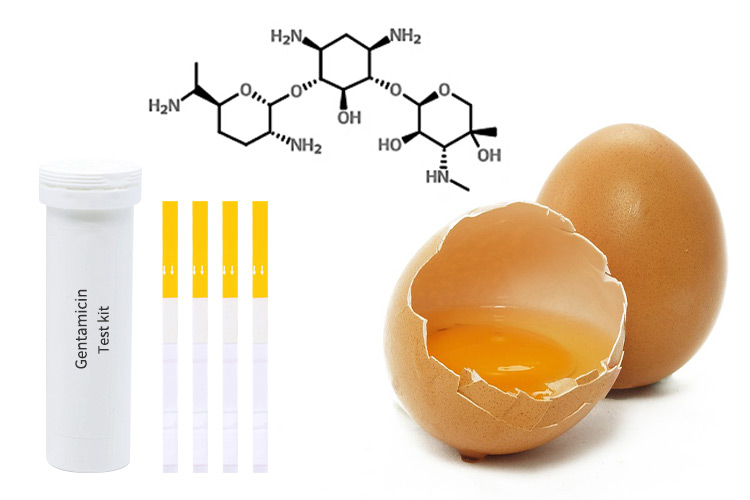 antibiotic-residue-testing