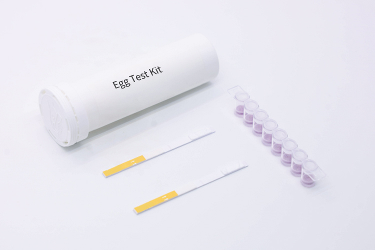 egg-testing-kit