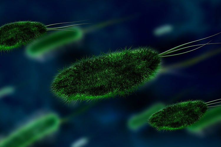 how-can-i-tell-if-a-egg-is-bad