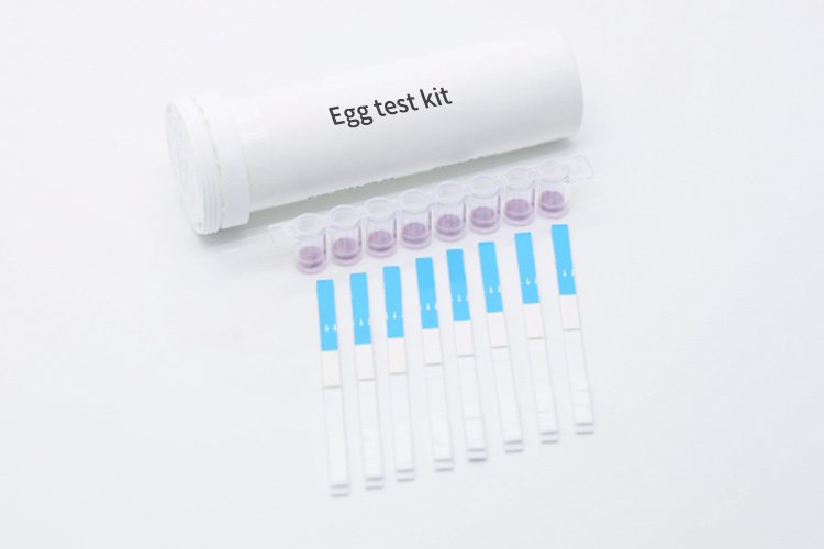 how-can-you-tell-if-a-egg-is-good