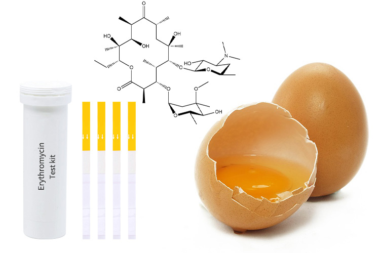 how-do-you-check-if-an-egg-is-bad