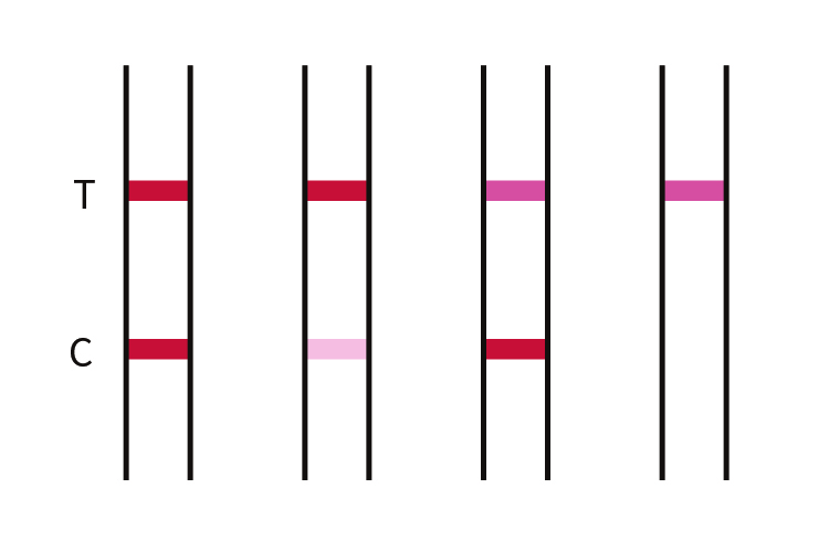 how-to-check-eggs-to-see-if-good