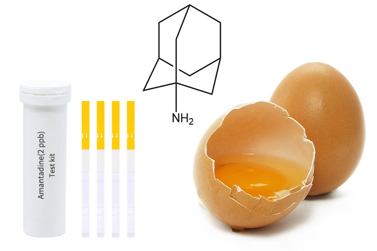 how-to-check-if-a-egg-is-bad