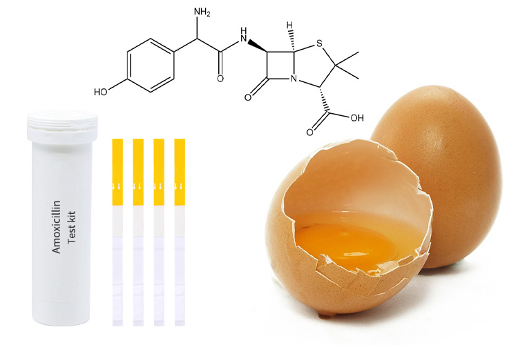 how-to-check-if-eggs-are-good