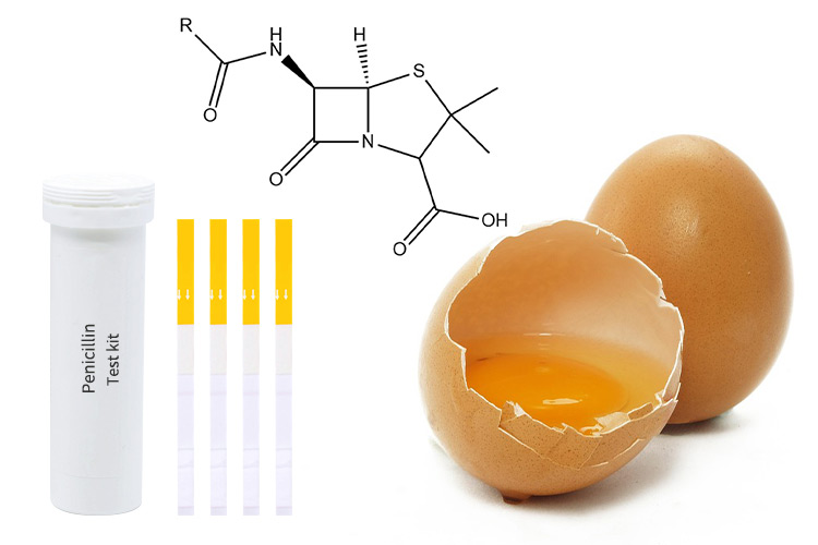how-to-check-if-eggs-are-off