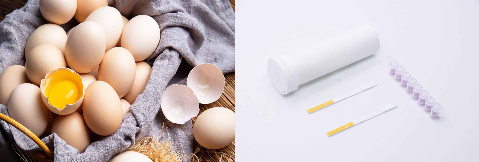 how-to-tell-if-an-egg-is-bad