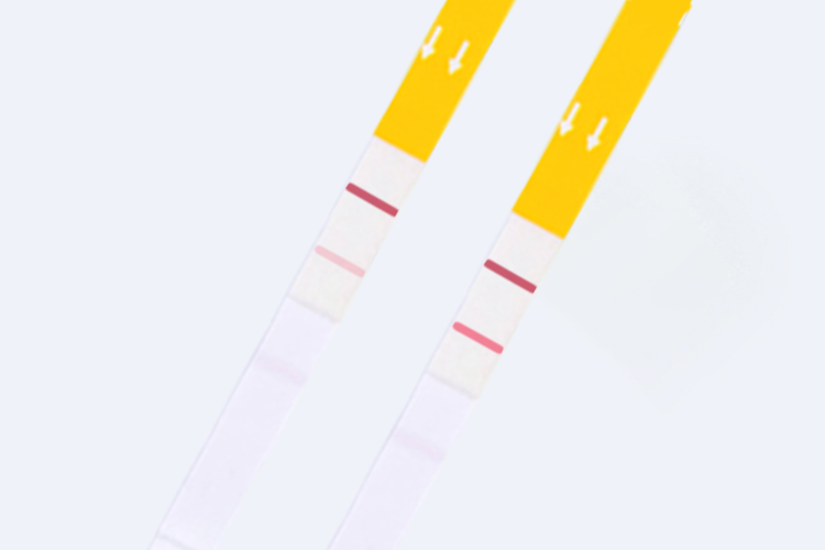 how-to-tell-if-eggs-are-good