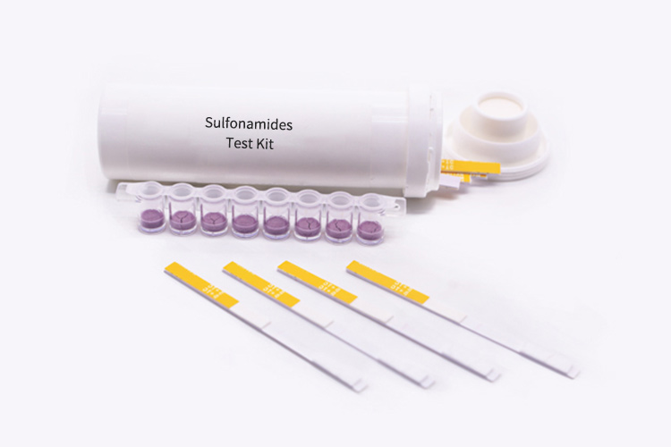 sulfonamides-antibiotics