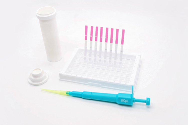 testing-chicken-eggs