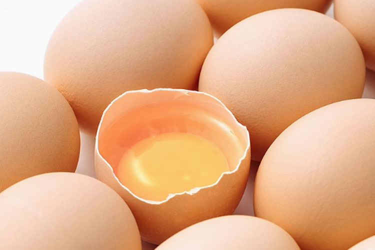 enrofloxacin-chicken