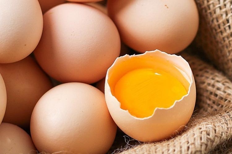 enrofloxacin-chickens