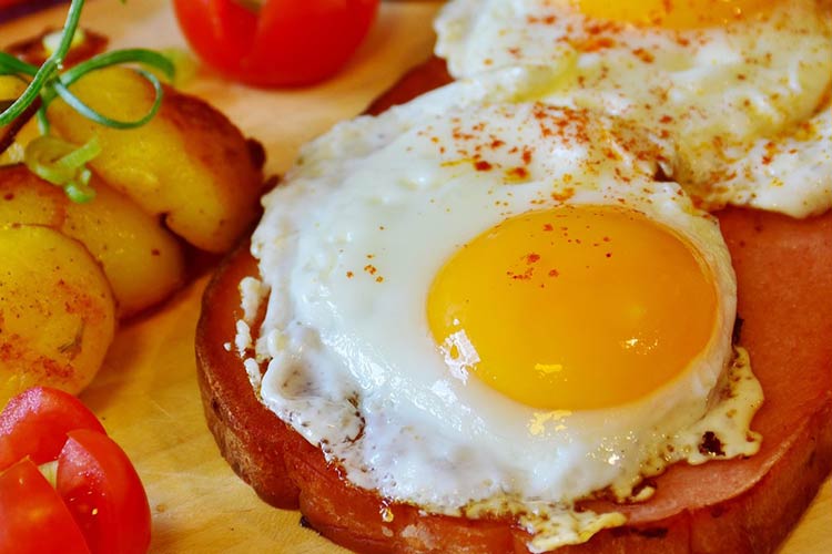 enrofloxacin-for-veterinary-use